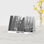 CARTE PEEK A BOO (Fleur jaune)