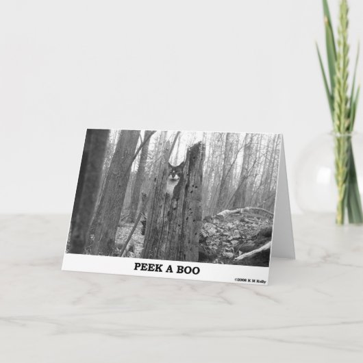 CARTE PEEK A BOO (Devant)
