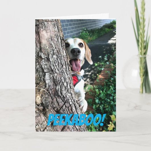 CARTE PEEKABOO (Devant)