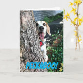 CARTE PEEKABOO (Fleur jaune)