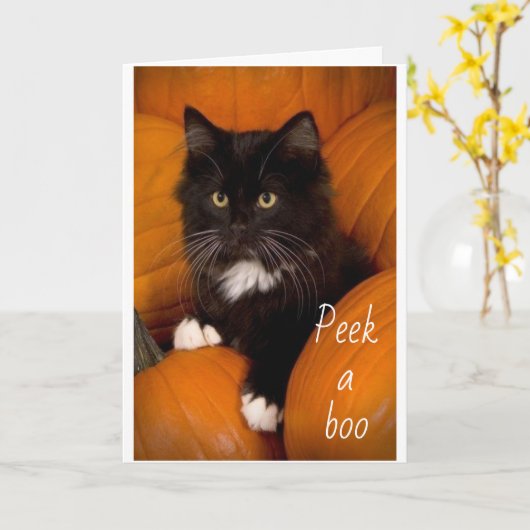 Carte PEEKING SORT TO DIRE **HEUREUX 2e ANNIVERSAIRE** (Fleur jaune)