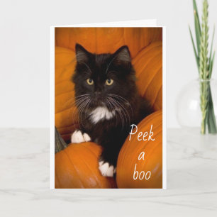 Carte PEEKING SORT TO DIRE **HEUREUX 3e ANNIVERSAIRE**