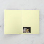 Carte Peep Taxi (Intérieur)