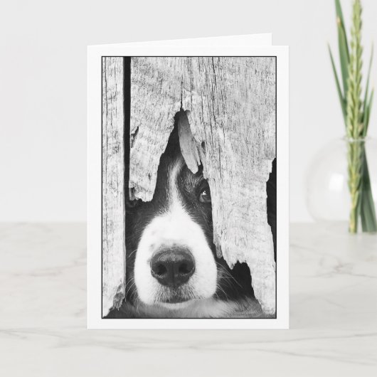 Carte peepeye2 (Devant)