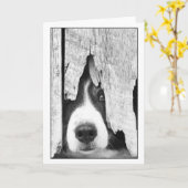 Carte peepeye2 (Fleur jaune)