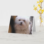 CARTE PEEWEE (Fleur jaune)