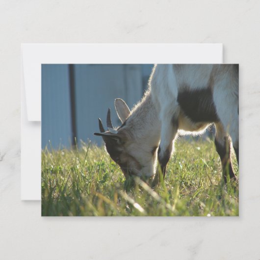 Carte Peindre (Devant)