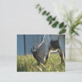 Carte Peindre (Debout devant)