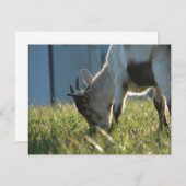 Carte Peindre (Devant / Derrière)