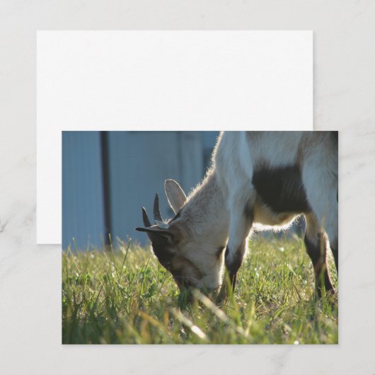 Carte Peindre (Devant / Derrière)