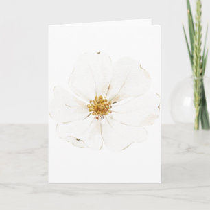 Carte Peine blanche peinte à la main (blanche)