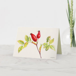 Carte Peinture aquarelle botanique de fruits de cynorhod