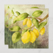 Carte Peinture de citrons (Devant / Derrière)