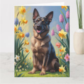 Carte Peinture de fleurs printanières de Malinois belge (Devant)