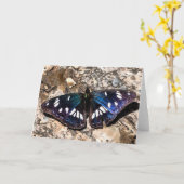 Carte Peinture de papillon bleu de l'amiral blanc du sud (Fleur jaune)