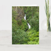 Carte Peinture de Thunderbird (Devant)