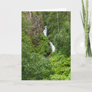 Carte Peinture de Thunderbird