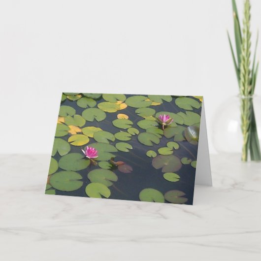Carte Peinture Lilypad Pond (Devant)