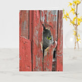 Carte Pékin dans le trou de bois de la grange (Fleur jaune)