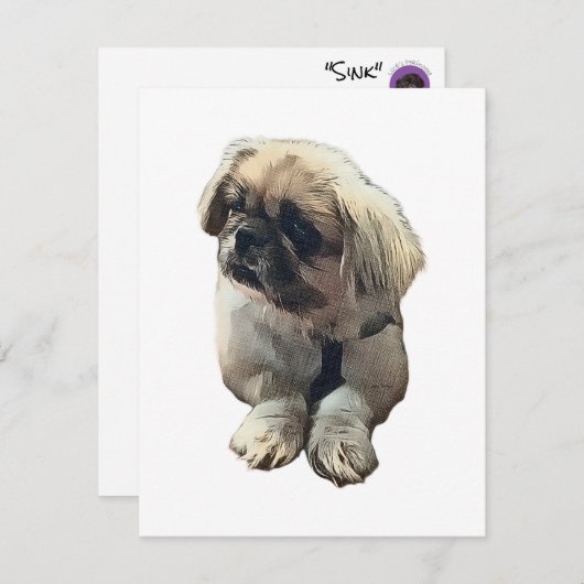 Carte Pekingese blanche avec "évier" (Devant / Derrière)