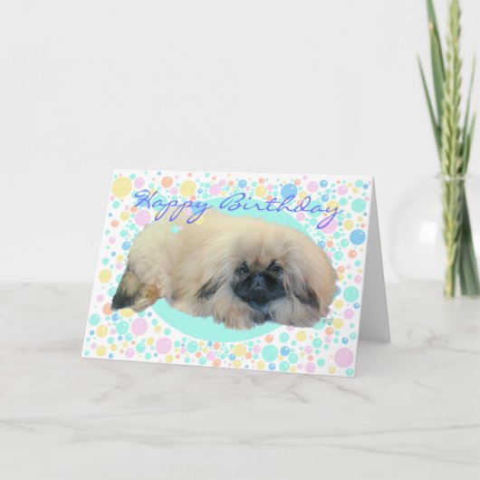 Carte Pekingese Bubble Happy (Devant)