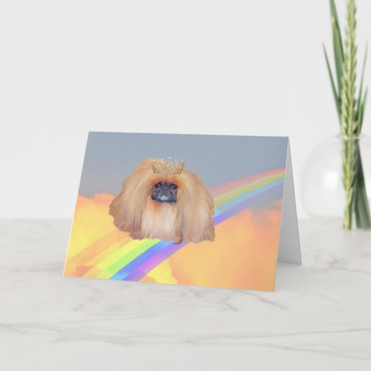 Carte Pékinois Arc-en-ciel (Devant)