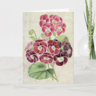 Carte Pelargoniums vintages de fantaisie
