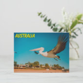 Carte Pélican Australie (Debout devant)