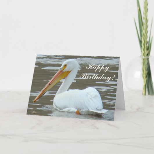 Carte Pélican blanc B15 sur eau boueuse (Devant)