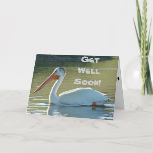 Carte Pélican blanc B4 (Devant)