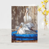 Carte pélican blanc dans la piscine (Fleur jaune)