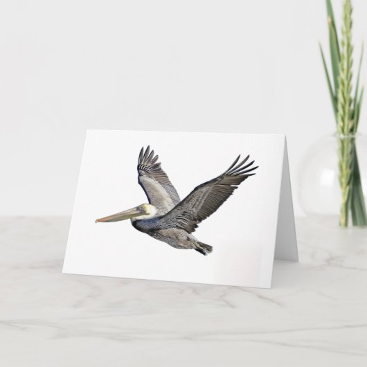 Carte Pélican clair (Devant)