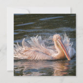 Carte Pélican en mouvement (Devant)