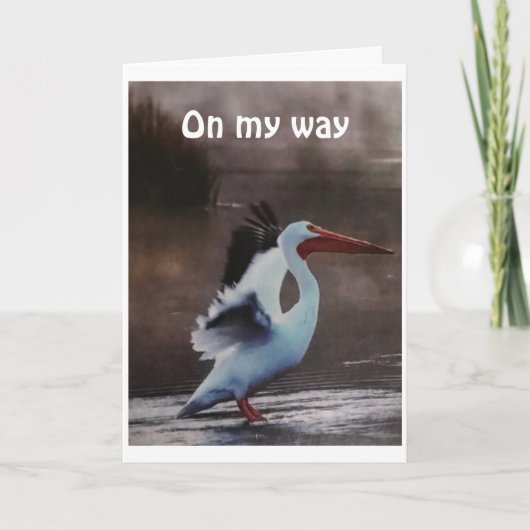 CARTE PELICAN PASSE POUR DIRE *JOLIE ANNIVERSAIRE* (Devant)