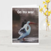 CARTE PELICAN PASSE POUR DIRE *JOLIE ANNIVERSAIRE* (Fleur jaune)