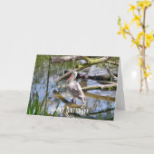 CARTE PÉLICANS (Fleur jaune)