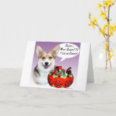 Carte Pembroke Welsh Corgi Halloween Candy (Fleur jaune)