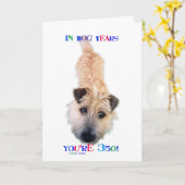 Carte Pendant des années de chien vous avez 350 ans (Fleur jaune)