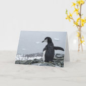 Carte Penguinzilla (Fleur jaune)