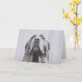 Carte Penny (Fleur jaune)