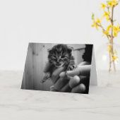 Carte Pense à Mew ! (Fleur jaune)