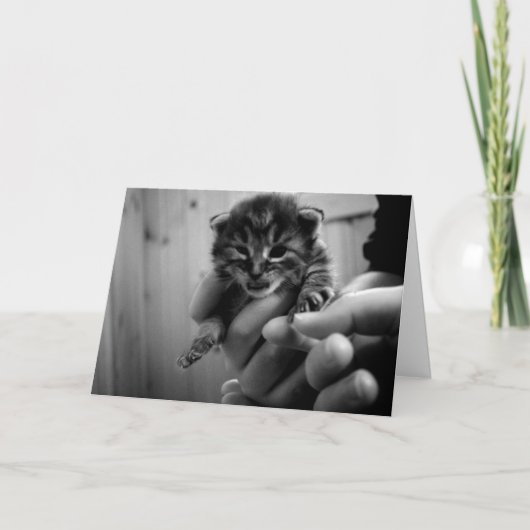 Carte Pense à Mew ! (Devant)