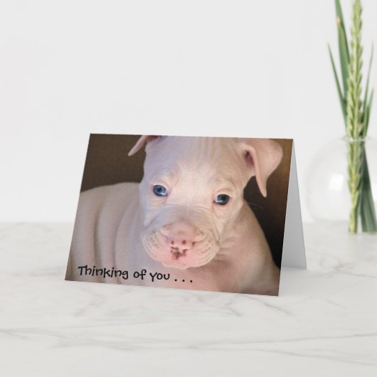 Carte Pense à toi. .. (Devant)