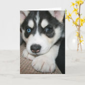 Carte Pense à toi ! (Fleur jaune)