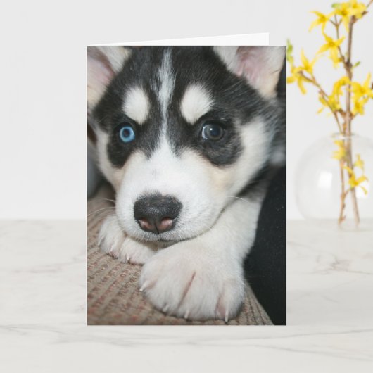 Carte Pense à toi ! (Fleur jaune)