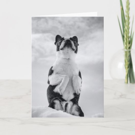 Carte Pensée à U (Devant)