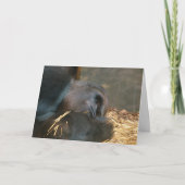 Carte Pensée à vous (Devant)