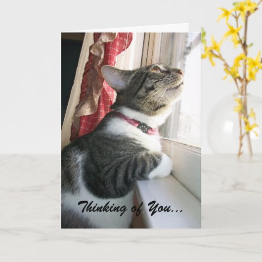 Carte Pensée à vous… (Fleur jaune)