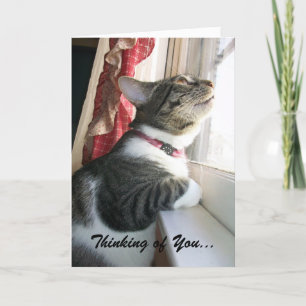 Carte Pensée à vous…