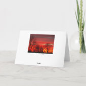 Carte Pensée à vous ~ 1 (Dos)